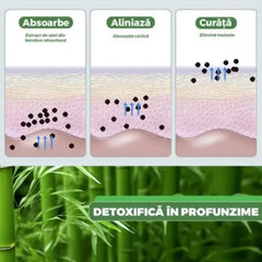 Set 100 Plasturi Detoxifianți Kinoki pentru Tălpi cu Turmalină, Vitamina C și E