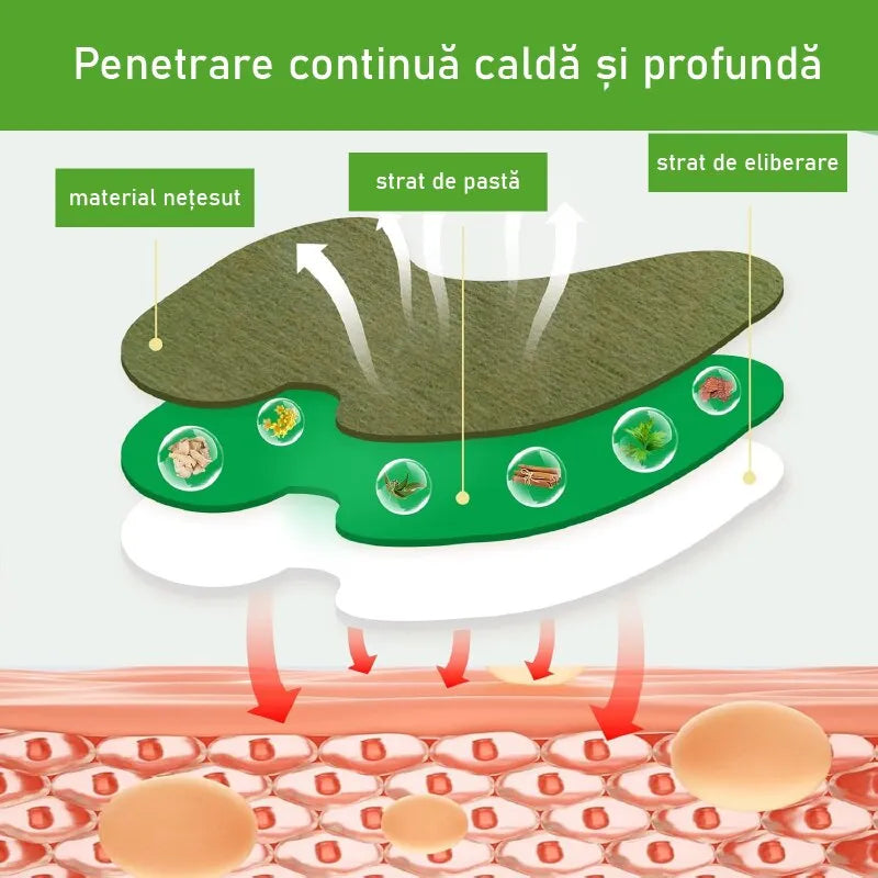 Set 30 Plasturi din Plante pentru Genunchi - imagine 3