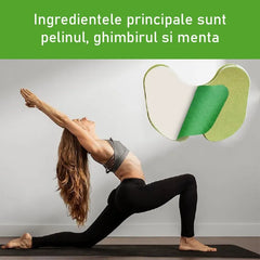Set 30 Plasturi din Plante pentru Genunchi
