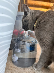 Dispenser Apă Automat Tip Fântână pentru Pisici și Câini