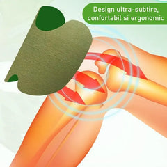 Set 30 Plasturi din Plante pentru Genunchi