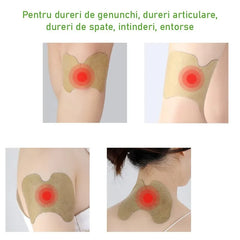 Set 30 Plasturi din Plante pentru Genunchi