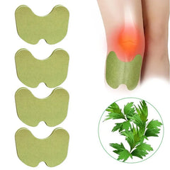 Set 30 Plasturi din Plante pentru Genunchi