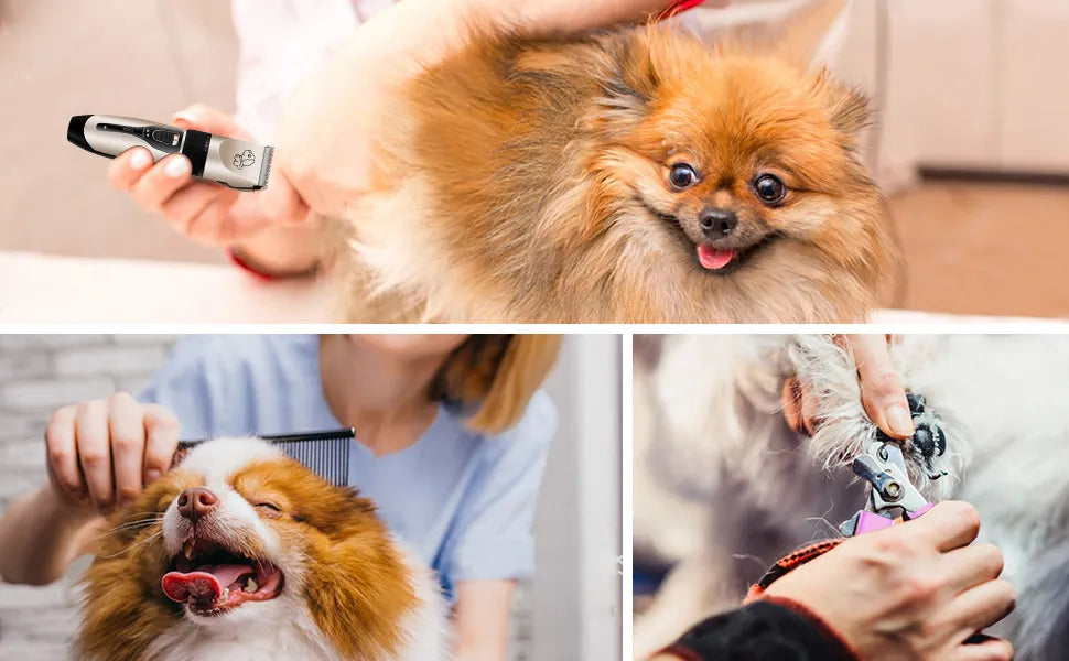 Set Mașină Profesională de Tuns Animale Fără Fir - imagine 6