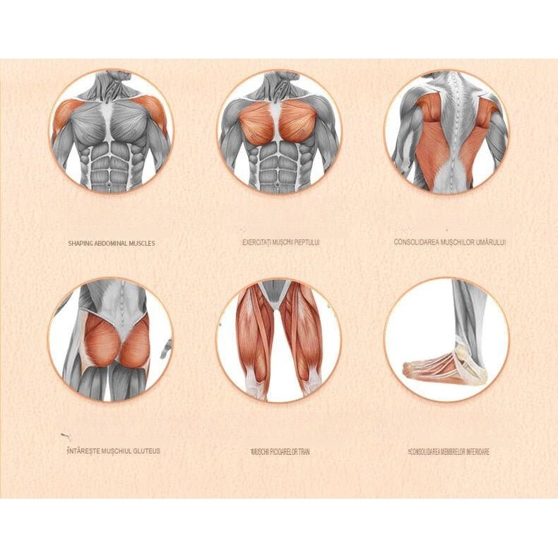 Roată Specială pentru Exerciții Fitness - Promagg.ro